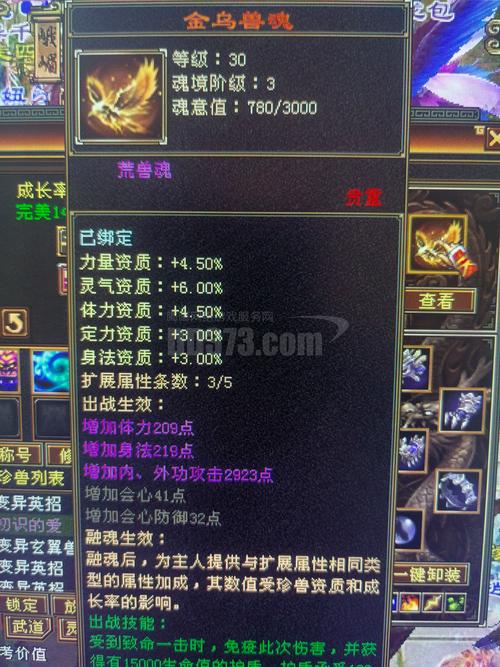 天龙八部私服吸引力与风险：快速升级背后的账号安全隐患