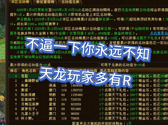 天龙私服：独特吸引力与潜在风险全解析，老玩家必读指南