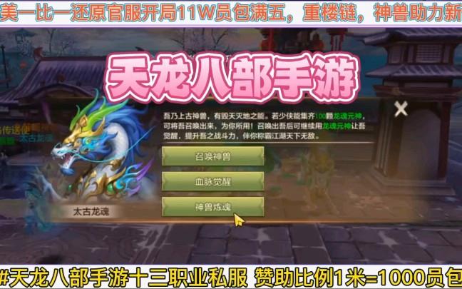 新开天龙八部私服攻略：如何获取开服信息及选择稳定服务器